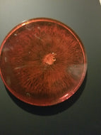 Resin coaster red